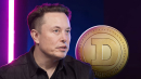 Here's What Elon Musk Celebrates as Dogecoin Day Arrives